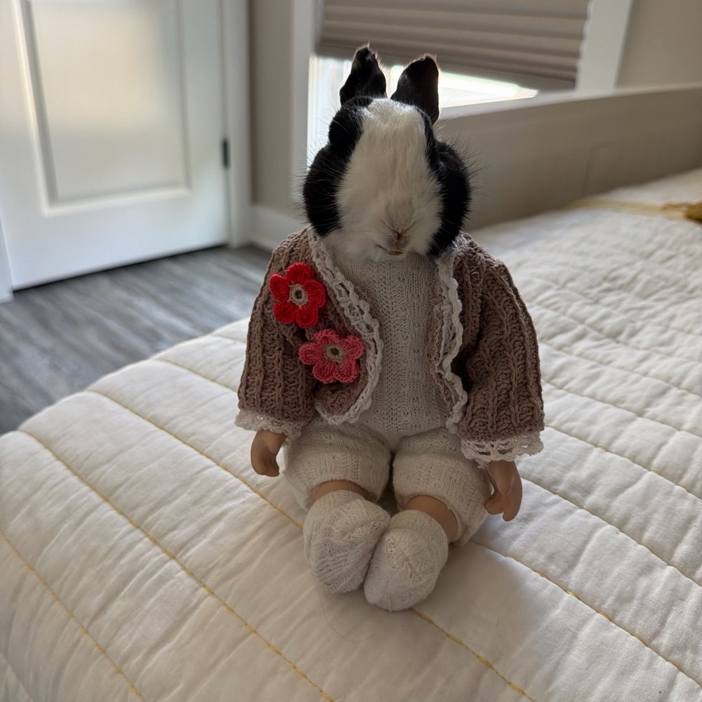 Handcrafted taxidermy Bunny Doll with Brown Sweater